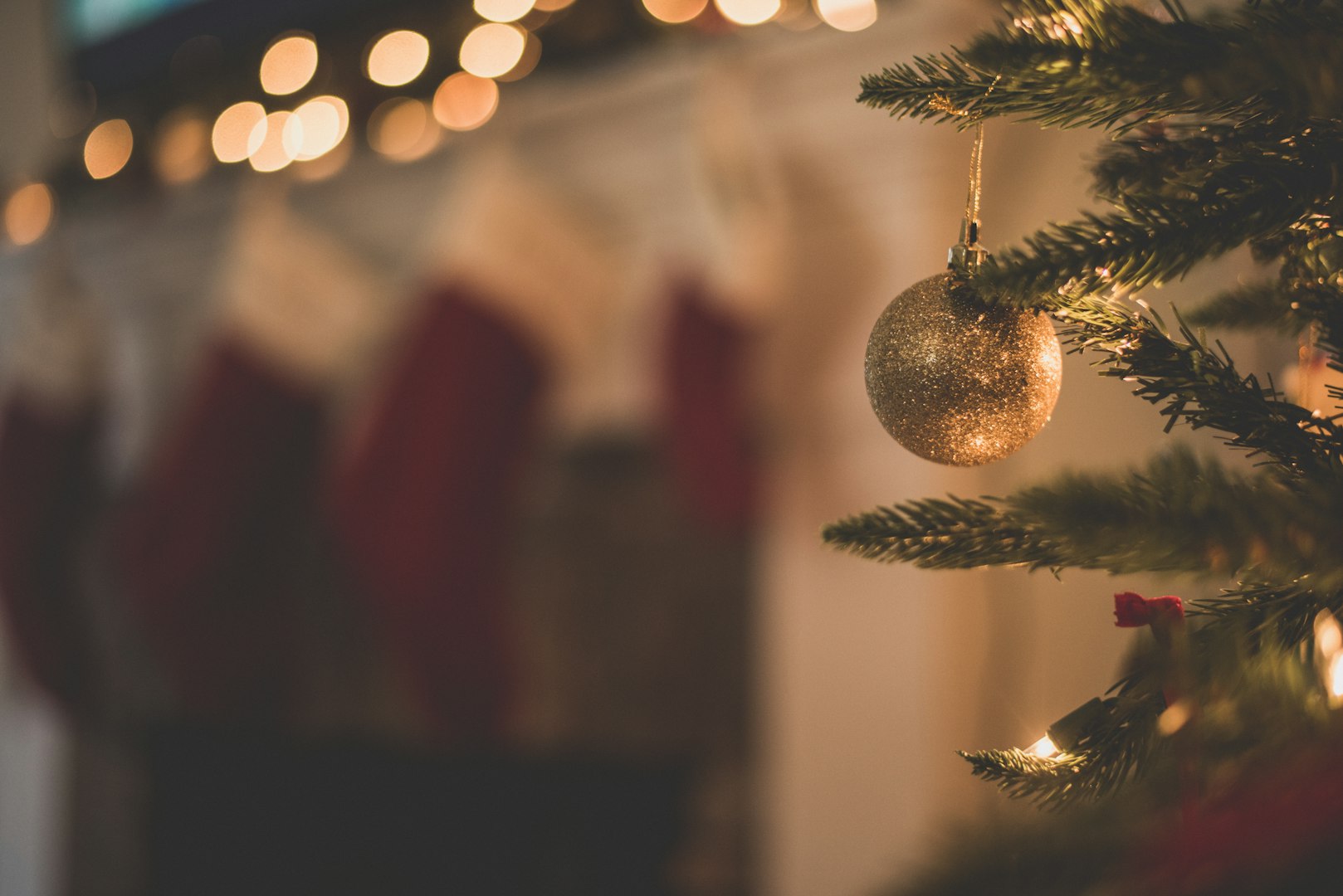 Savour the Season